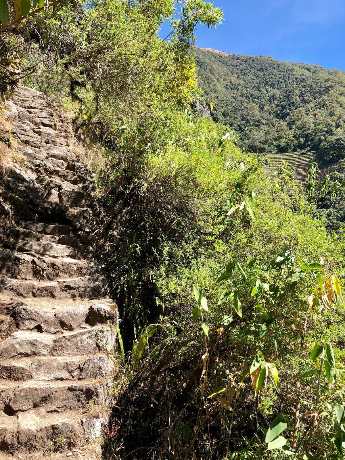 Five Years The Inca Trail