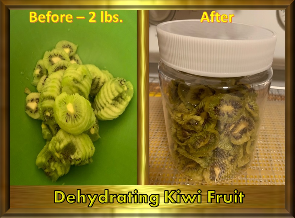 Animal, Nature, and Travel Tastebud Journey Dehydrating Kiwi Fruit