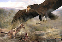 il più grande uccello mai esistito, l'argentavis ricerca sugli uccelli della preistoria