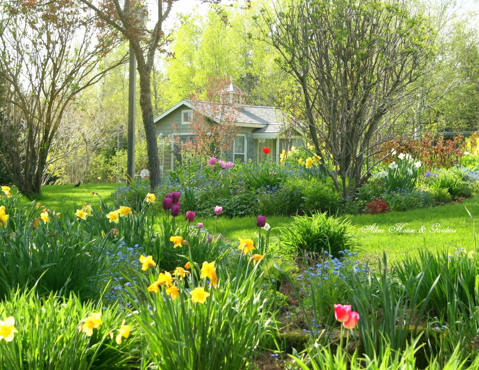 красивая дача. дом в моем саду. красивый домик. ландшафта стиль тюдоров (английский ренессанс). дом в моем саду.