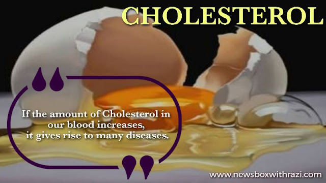 What is cholesterol and Why does it happen? It is Plan and treated.