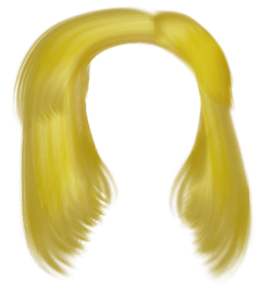 Hair in PNG format | Random Girly Graphics