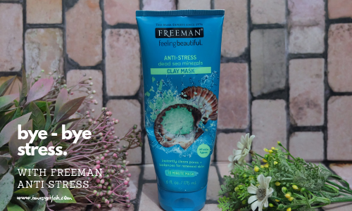 Review Freeman Anti Stress Dead Sea Minerals Clay Mask   