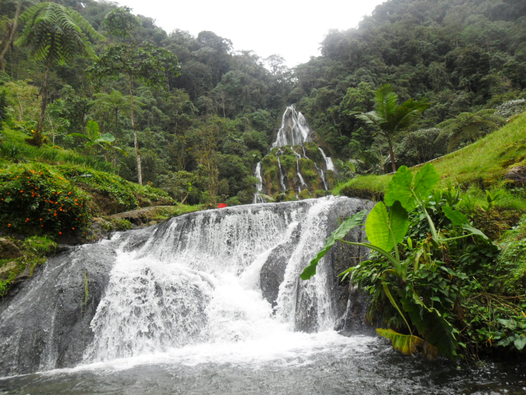 SABOR MANA TOUR: GRAN PASEO TOUR A LOS TERMALES DE SANTA ROSA DE CABAL