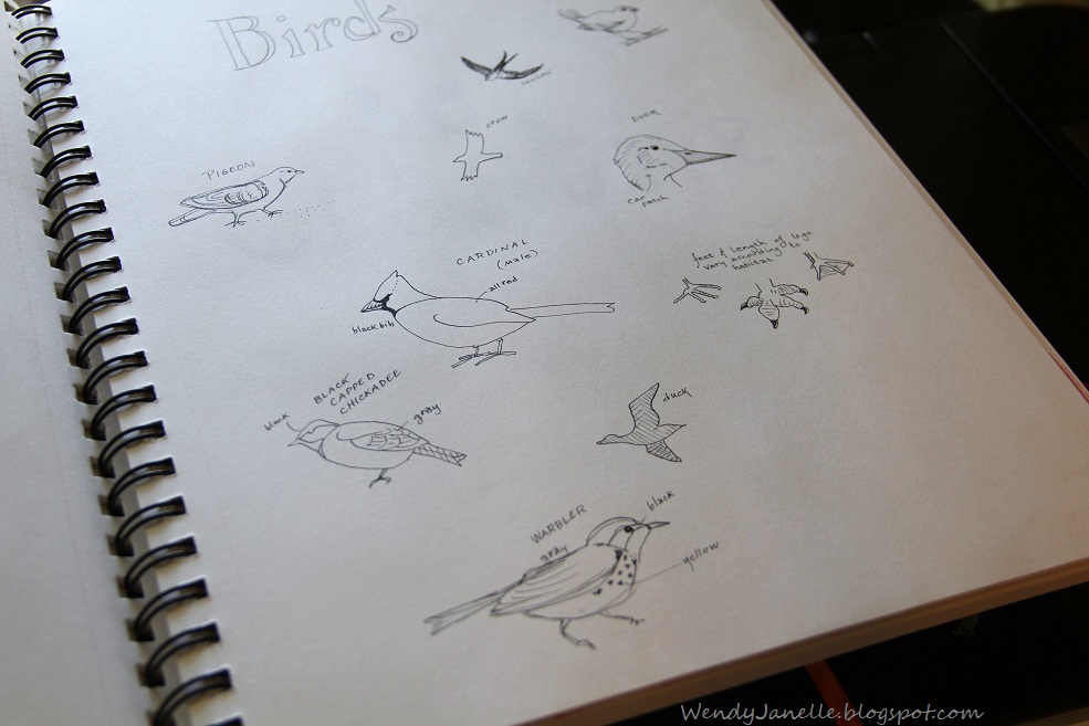 Living Creatively 10 Ways to Vary Your Nature Journal Layouts