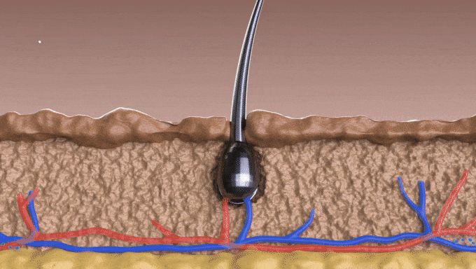 Buddie: Safe & Effective Scalp Care Device Healthy hair growth starts with a healthy scalp. A clinically-proven form of treatment for 7mins/day. Buddie: Safe & Effective Scalp Care Device Healthy hair growth starts with a healthy scalp. A clinically-proven form of treatment for 7mins/day.