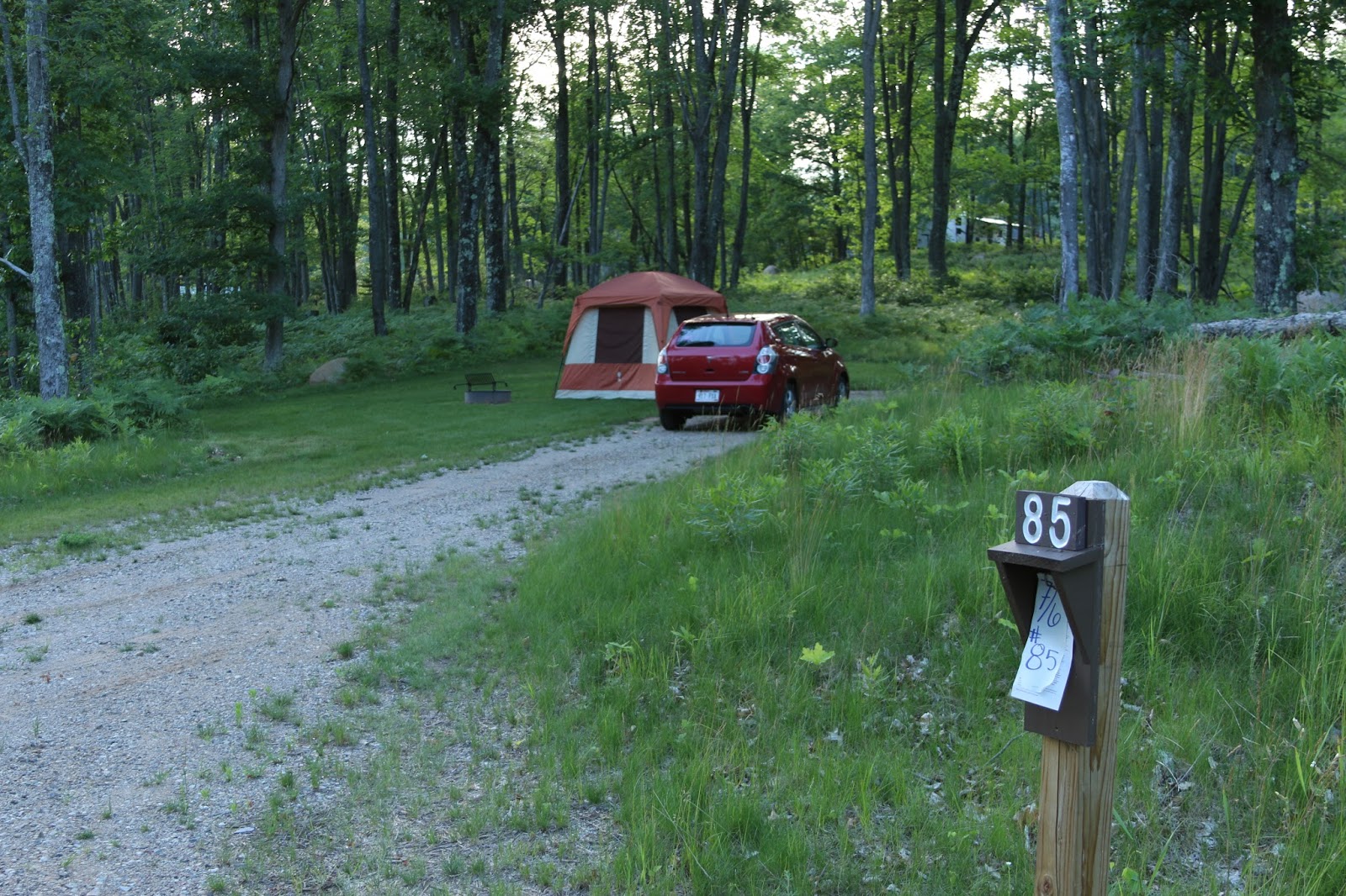 Nomadic Newfies Governor Thompson State Park in Crivitz