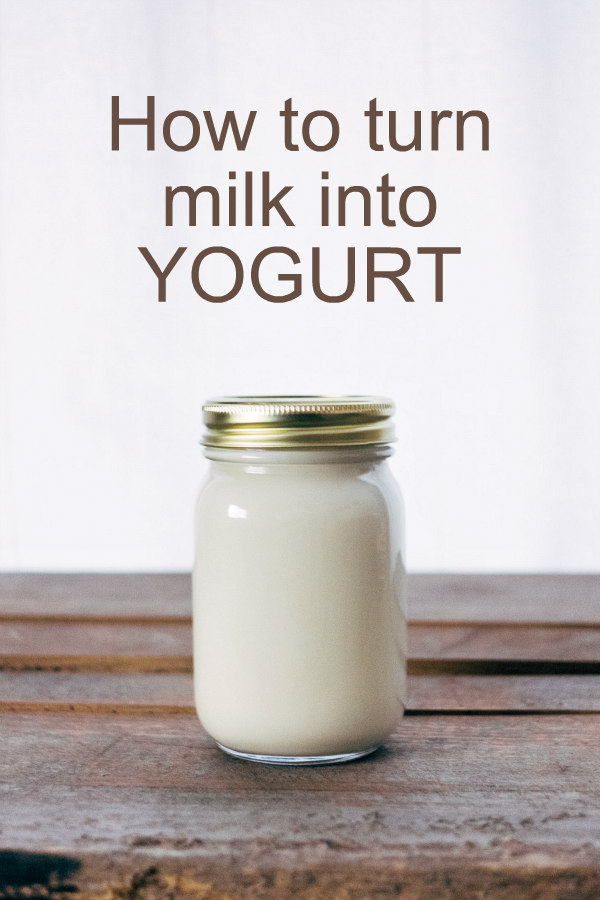 How to Make Yogurt at Home (and Save Money) Oak Hill Homestead