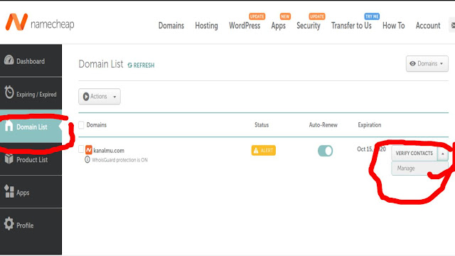 Cara Cepat Setting Custom Domain Blogspot di Namecheap