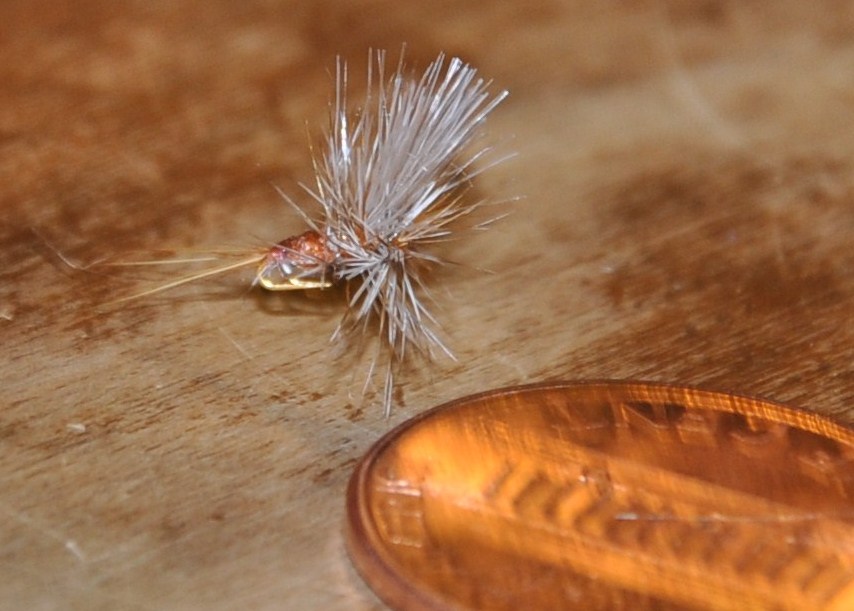 Swamp Yankee: Smallest Ausable Wulff