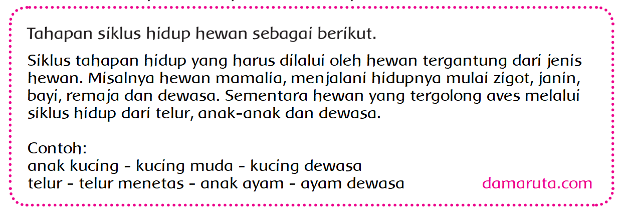 Tahapan Pertumbuhan Hewan Halaman 8 Dan 9 Belajar Kurikulum 2013