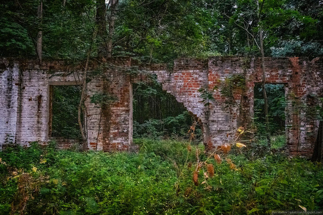 Сочинение про усадьбу рукавишниковых Поросшие травой и деревьями кирпичные развалины