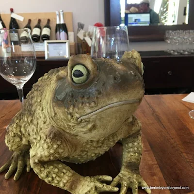 fake toad at Moshin Vineyards in Healdsburg, California