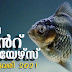 Kerala PSC Daily Malayalam Current Affairs Feb 2021
