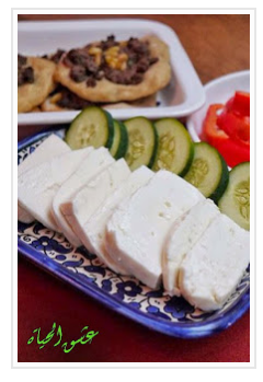 طريقة عمل جبنة نابلسية