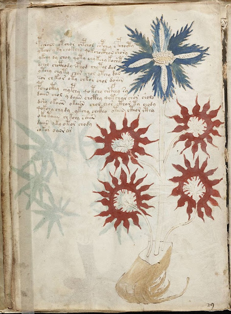 The Voynich Manuscript