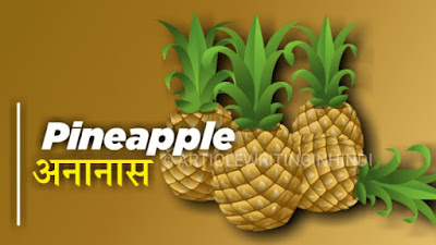 Pineapple in hindi 