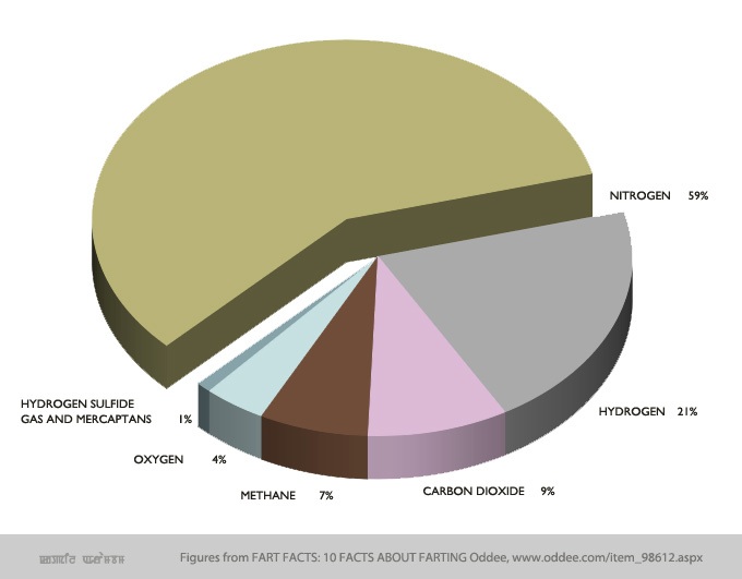 A Fart of Gold and the Science of Flatulence