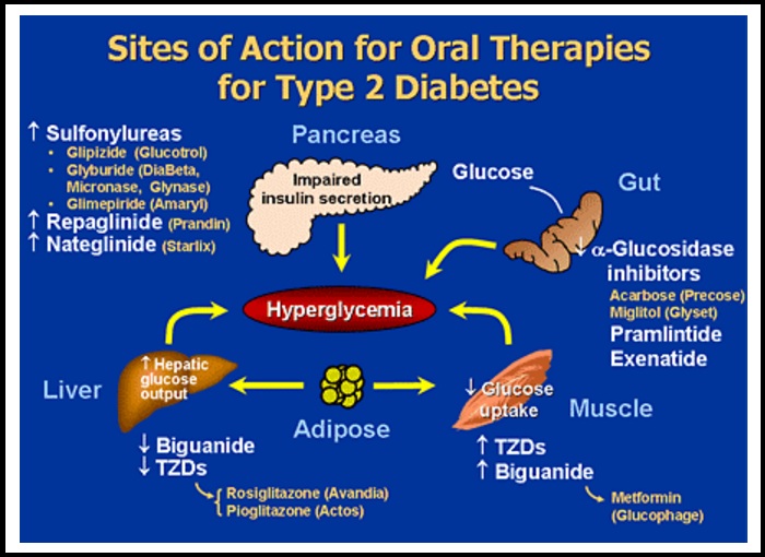 Attention for Diabetic Oral Meds