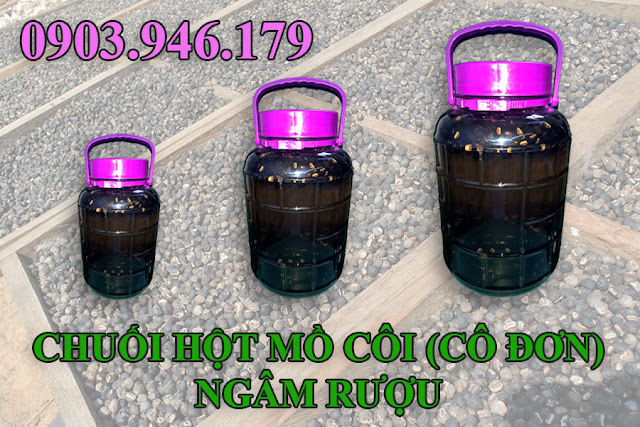 CHUỐI HỘT MỒ CÔI (CÔ ĐƠN) NGÂM RƯỢU, BÁN BÌNH RƯỢU THUỶ TINH ĐÃ NGÂM RƯỢU CHUỐI HỘT MỒ CÔI (CÔ ĐƠN) GIÁ RẺ, UY TÍN, CHẤT LƯỢNG DGPN.vn