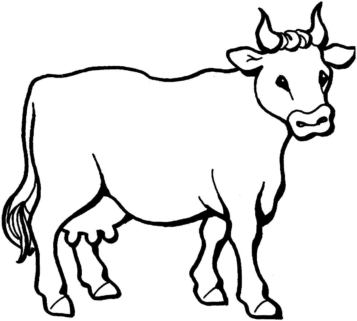 Cow Coloring Pages | Rainbow Coloring