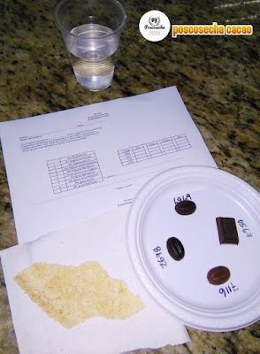 Evaluación sensorial de cacao y chocolate.