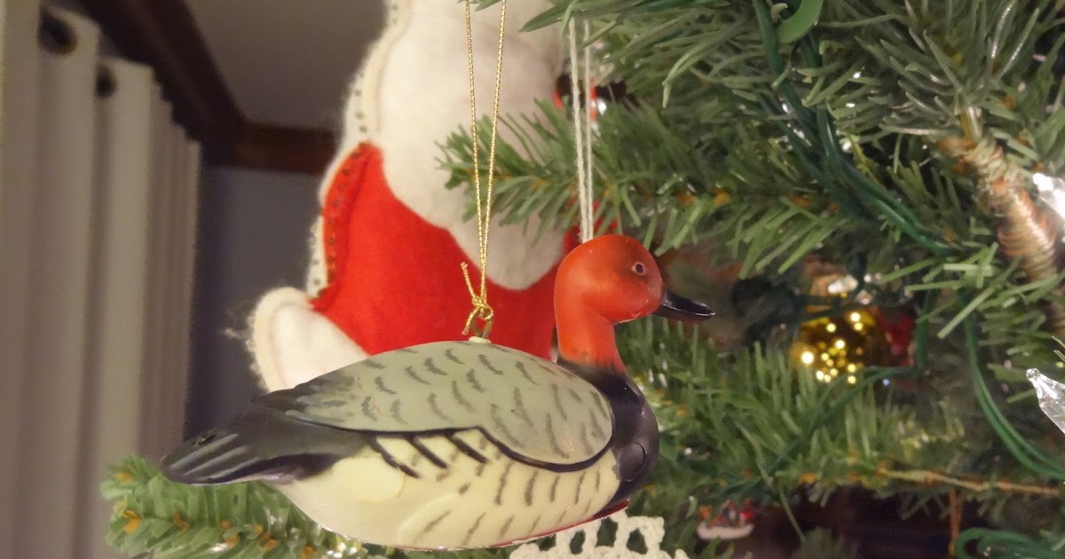 Live and LearnToss and Turn Ornament Parade 3