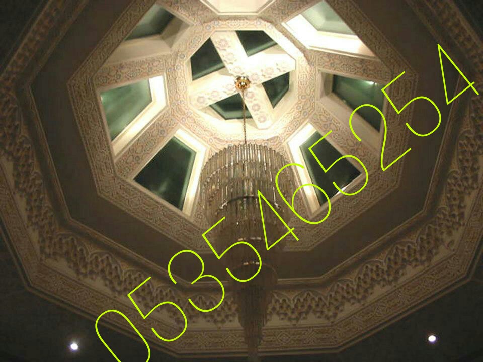 منظمة Translucent Network Org متخصصة في تركيب القباب المنزلية