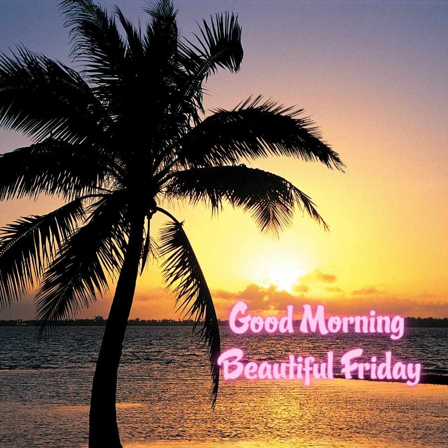 good morning happy friday images