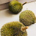 Tips Jaga Kesihatan Lepas Makan Durian