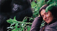 Gorilles dans la brume - Dian Fossey
