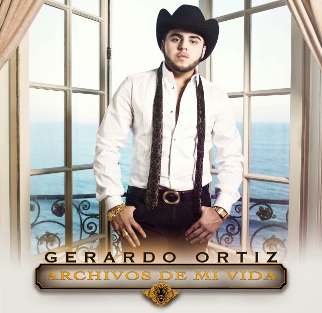 Gerardo (musician) visual data 4