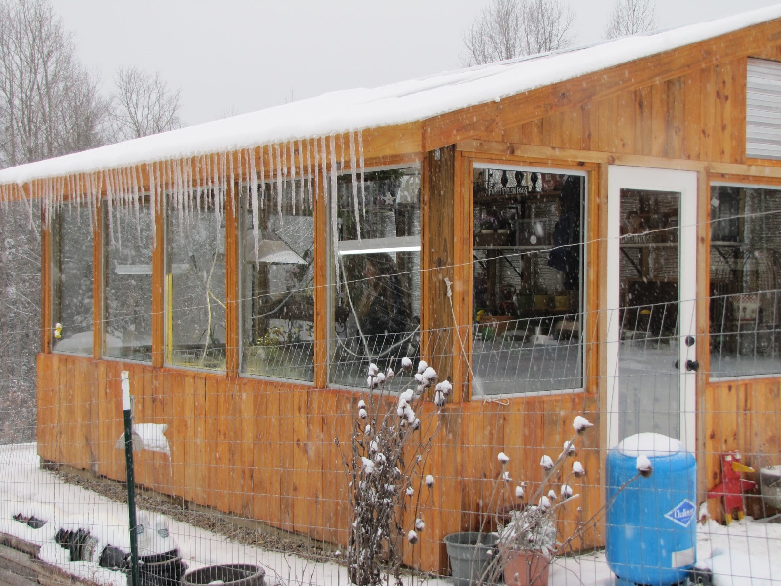 Kentucky Homesteading & Organic Gardening Greenhouse Gardening in Winter