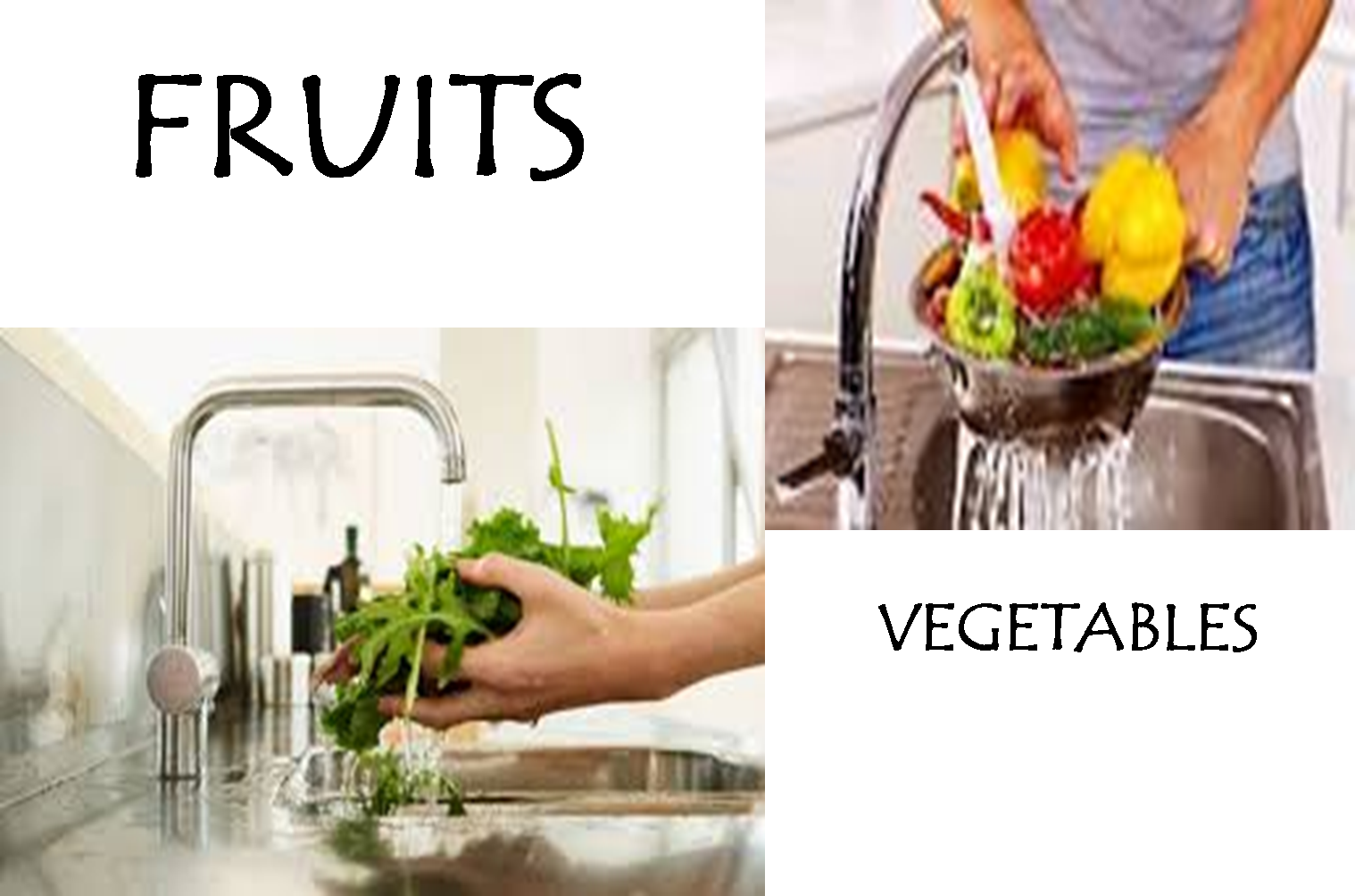 Muceda Engineering Workshop Technology 5 KEY STEPS TO FOOD SAFETY safetyhow-articles