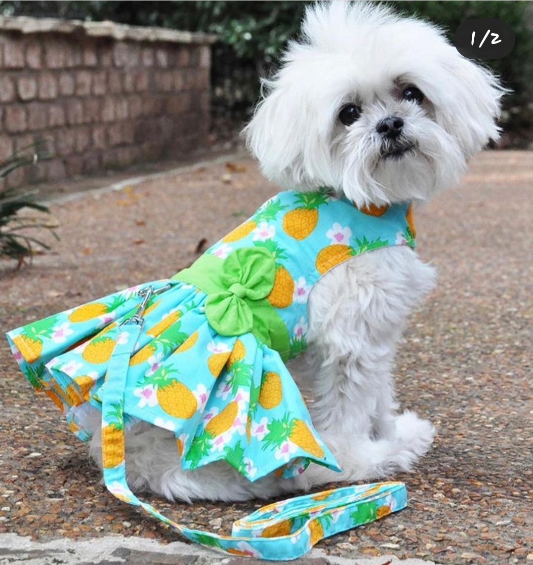 . Doggie Fashion