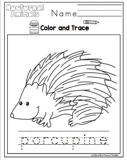 Nocturnal Animals Printable (Redone) ~ Preschool Printables Nocturnal Animals Printable (Redone) ~ Preschool Printables