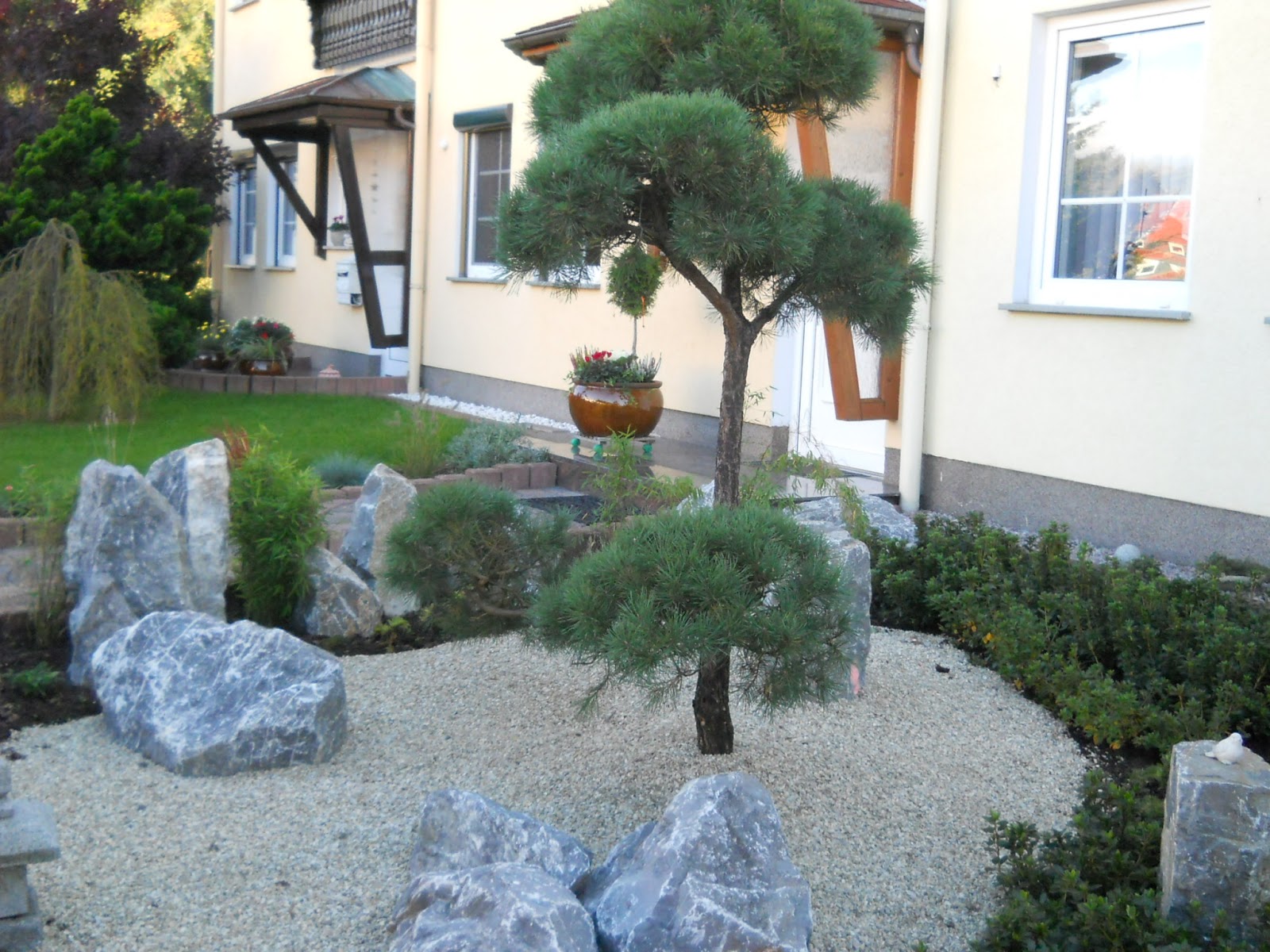 Gärtnertagebuch: Garten: 1232 japanischer Vorgarten