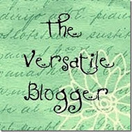 tHe veRsaTiLE bLoggEr