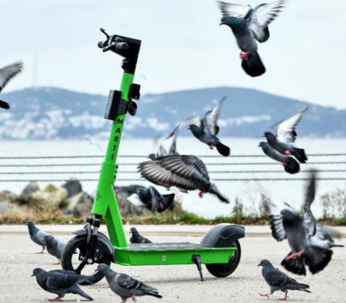 Martı Scooter Nasıl Kullanılır?