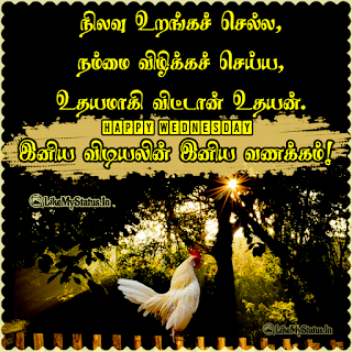 Happy Wednesday Wishes Tamil