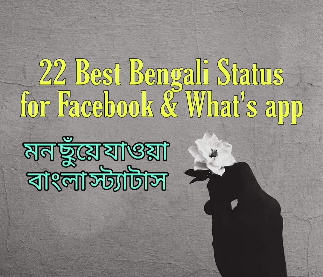 22 Best Bengali Status For Facebook and Whats app মন ছুঁয়ে যাওয়া বাংলা স্ট্যাটাস