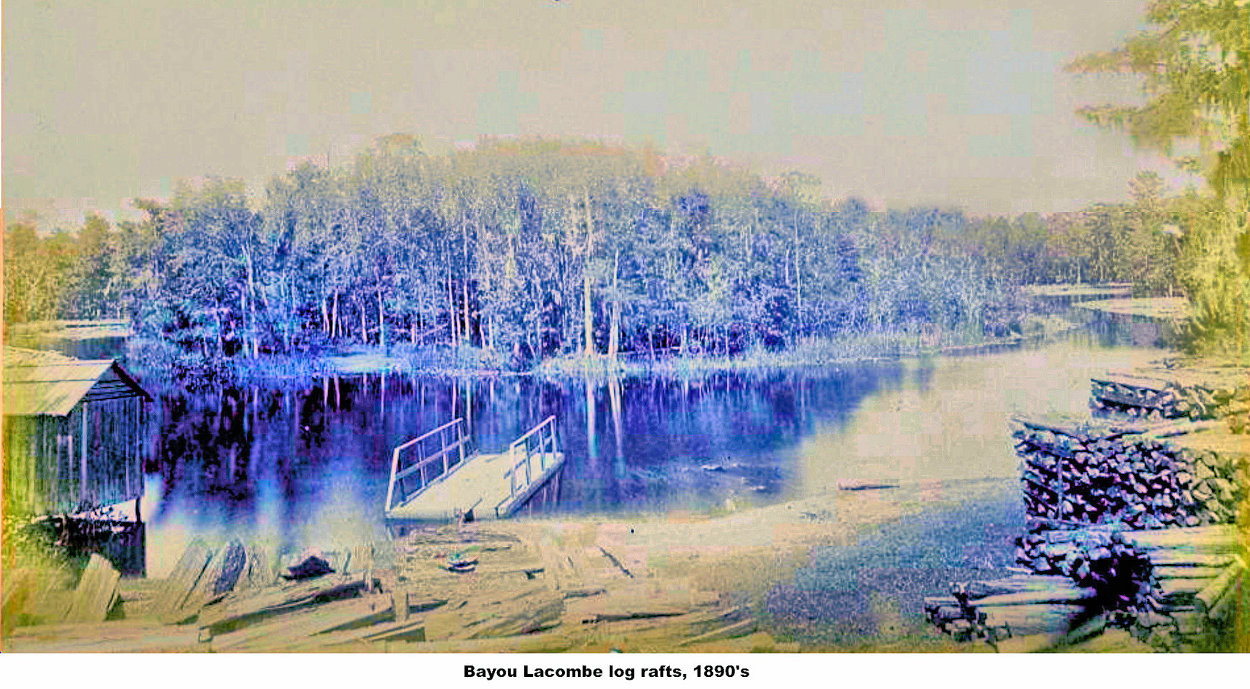 Tammany Family A 1897 Visit To