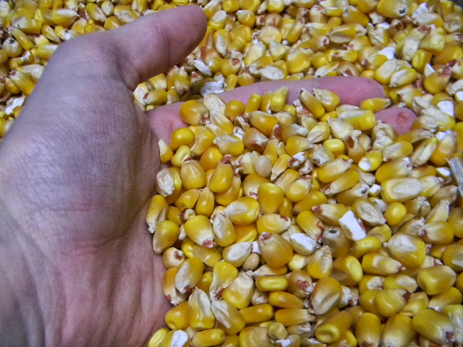 Renew My Home How to Make Heat Socks