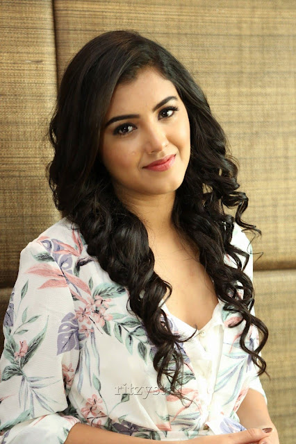 Malvika Sharma At Nela Ticket Movie Pre-release Event