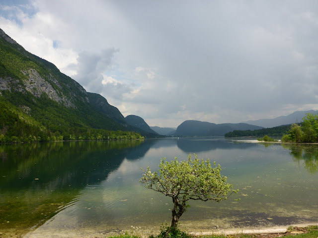 Lac Bohinj Slovénie