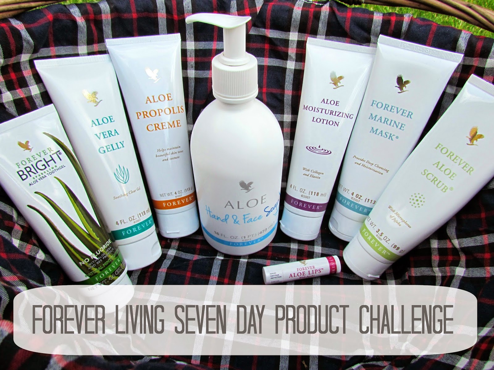 Forever Living Seven Day Product Challenge... - The ...