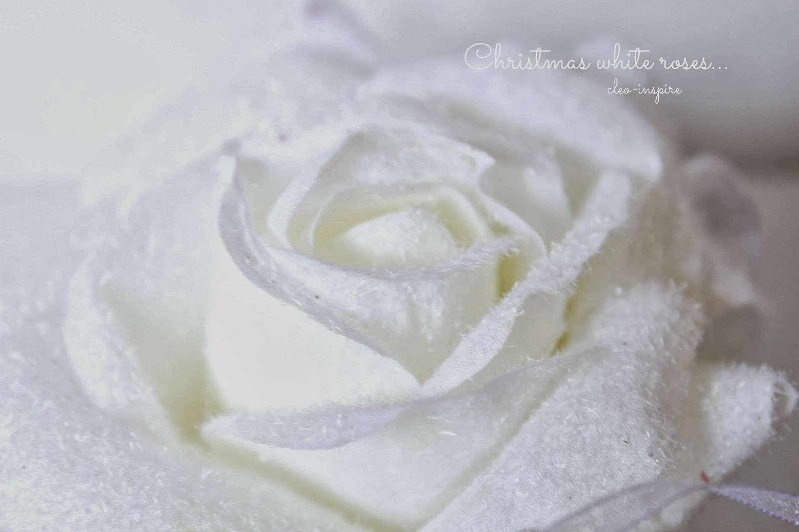 biała róża na choinkę