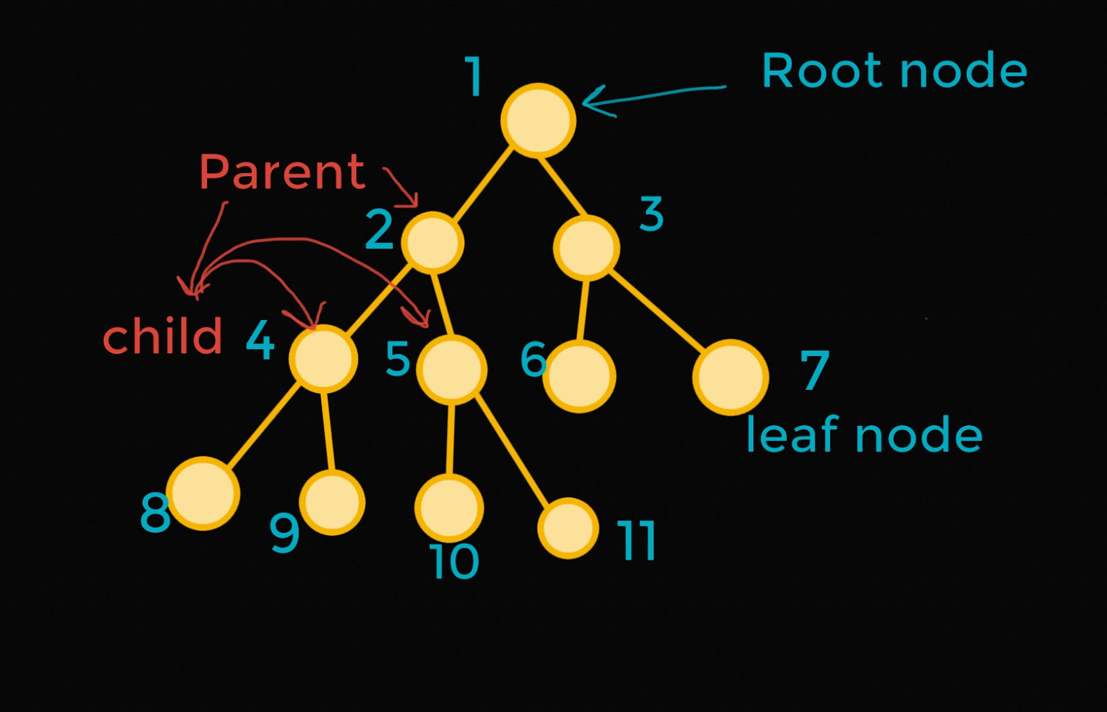 Introduction to Trees, Finding Diameter of Tree and Finding number of ...