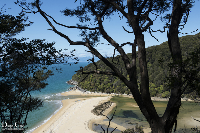 Nueva Zelanda en Campervan - Vuelta al mundo - Blogs de Nueva Zelanda - Trekking en Abel Tasman y la Costa Norte (2)