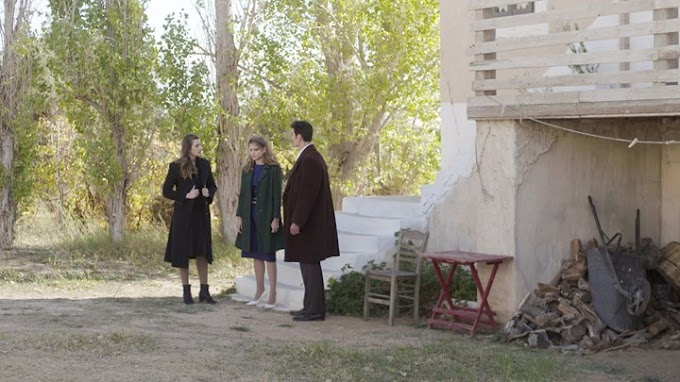 Οι «Άγριες Μέλισσες» απόψε μας επιφυλλάσουν πολλές εκπλήξεις